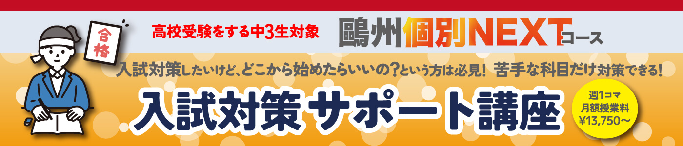 個別NEXT入試対策サポート